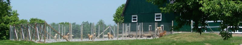 Sunkozi Kennels